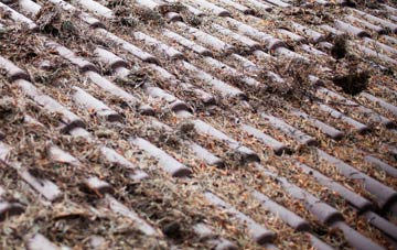 Pencroesoped roof cleaning companies