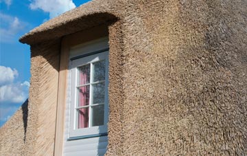 Pencroesoped thatch roof disadvantages